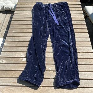 J crew blue velvet joggers NWT